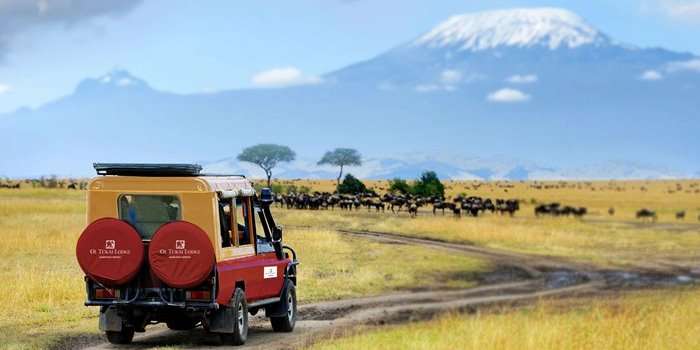 15 Reasons Why Use Africa Safari Specialist