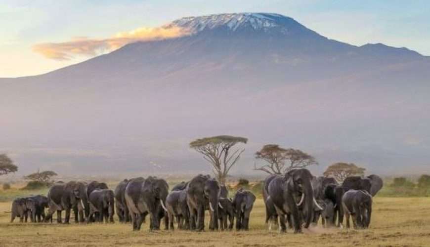 33 Reasons for Visiting Kenya