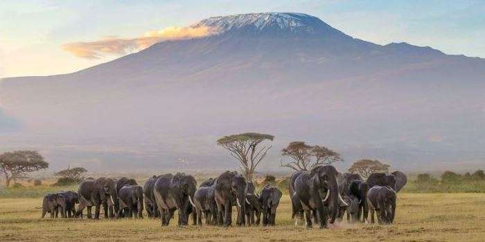 33 Reasons for Visiting Kenya