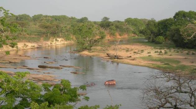 Birds of Garamba National Park