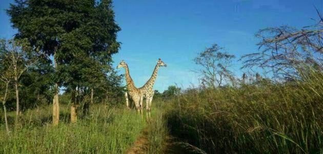 Muyambo Nature Park