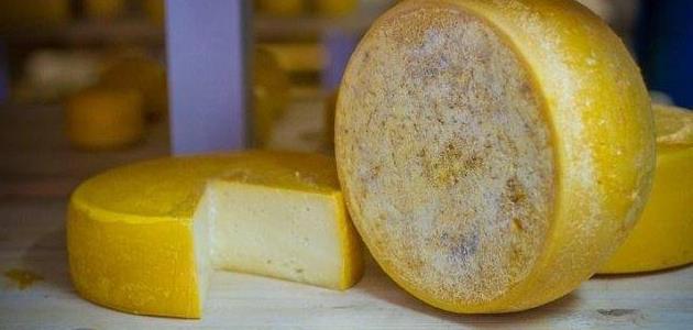 Cheese Tasting at Brown's Cheese Co