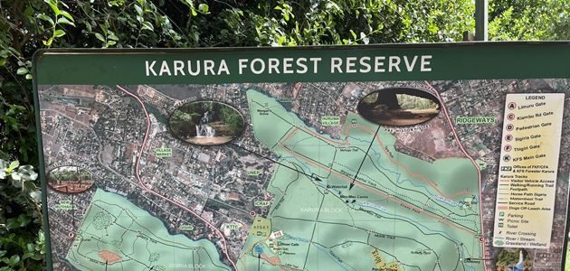 nrb-2-karura-forest