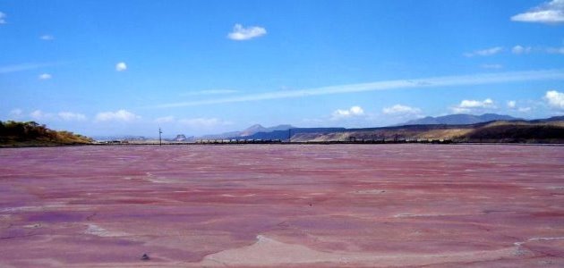 Lake Magadi Tour
