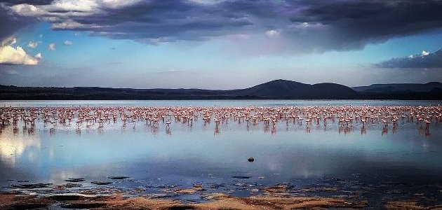nrb-24-lake-elementaita