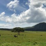 Osengoroni Wildlife Sanctuary