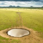 Ol Donyo Water Hole