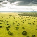 Chyulu Plains